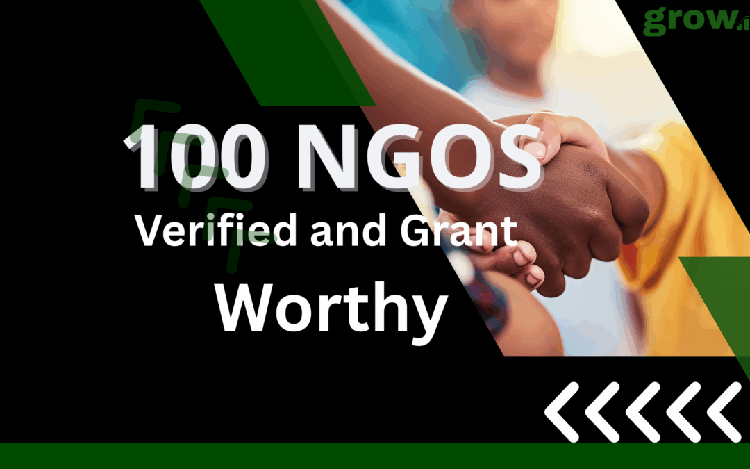 Some Grant Worthy NGO’s In Nigeria